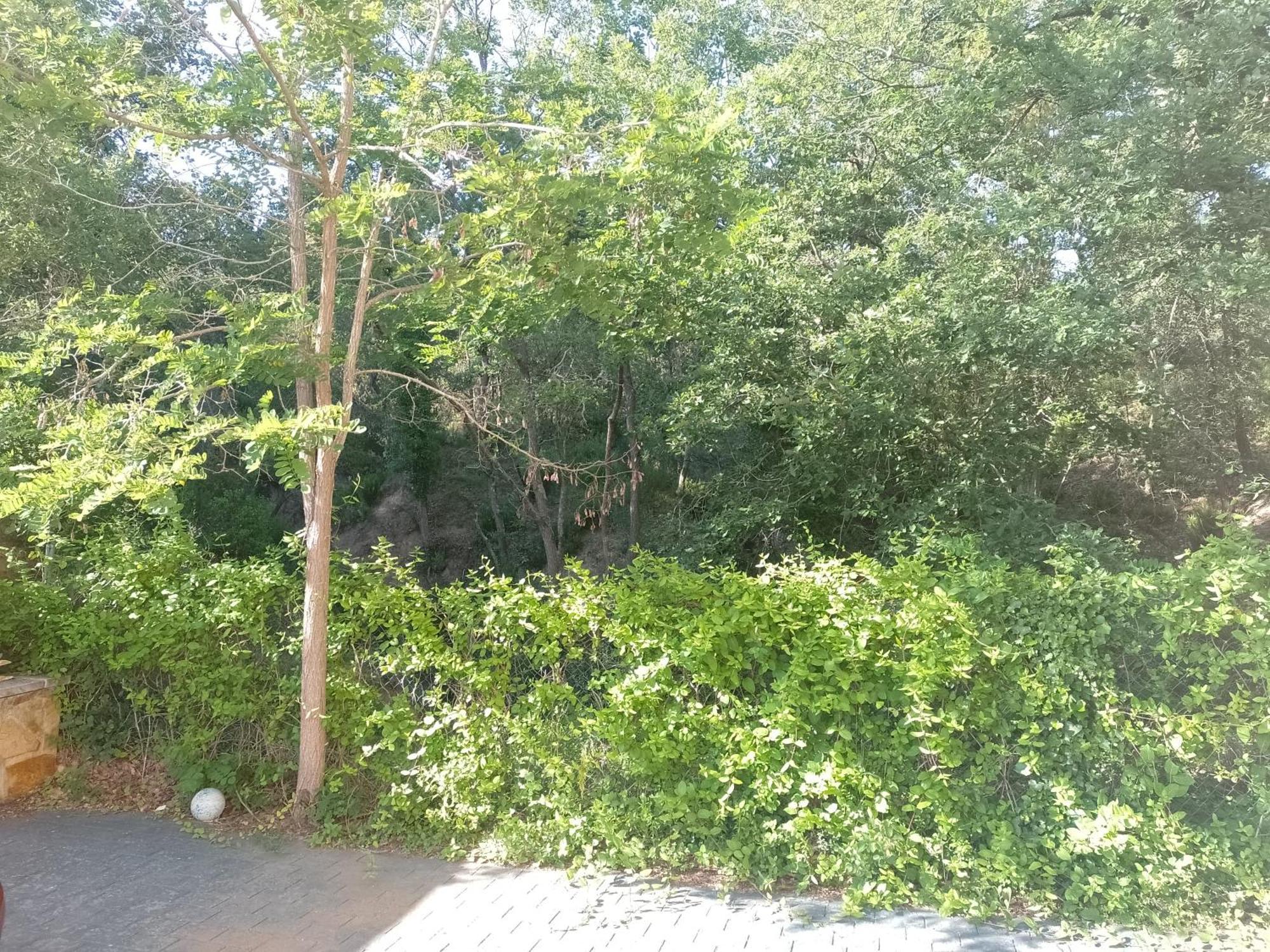 Gran Estudio De 50M2 Cerca Costa Brava Vidreres Bagian luar foto
