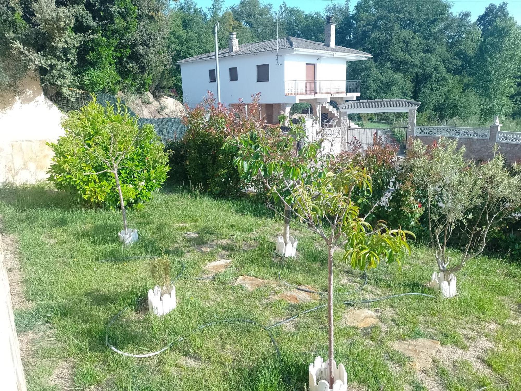 Gran Estudio De 50M2 Cerca Costa Brava Vidreres Bagian luar foto